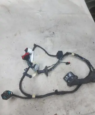 Front door wiring loom