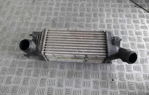 Peugeot 407 Intercooler radiator