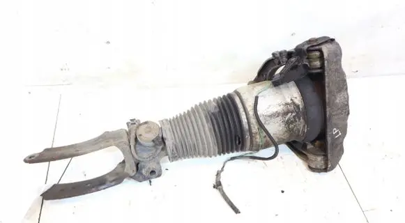 Front shock absorber/damper