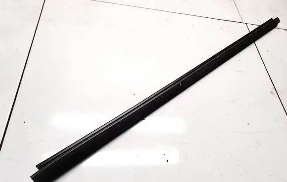 Volkswagen PASSAT B6 Front door glass trim molding 