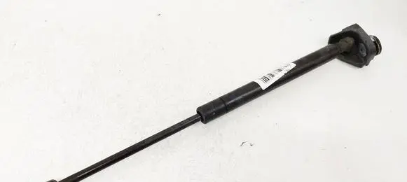 Tailgate/trunk strut/damper