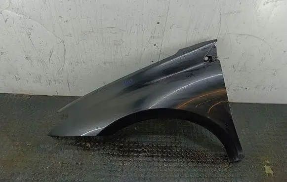 Renault Laguna III Fender NV676