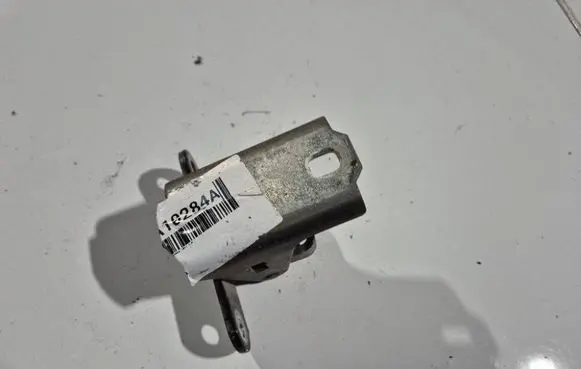 Opel Insignia A Rear door lower hinge