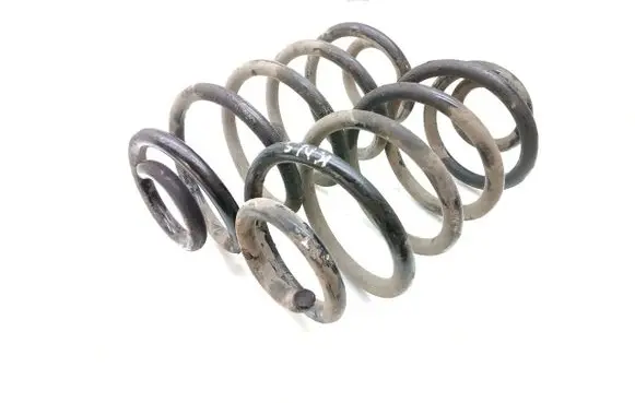 Rear coil spring