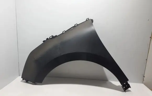 Renault Espace V (RFC) Fender 631016135R