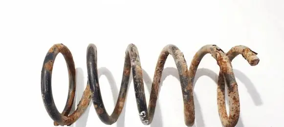 Rear coil spring