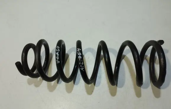 Rear coil spring