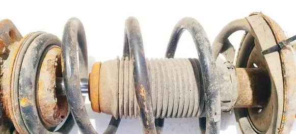 Front coil spring