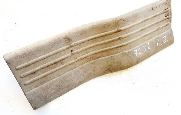 Chrysler Pacifica Rear sill trim cover 13963l