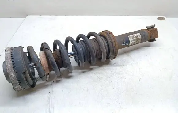 BMW X3 F25 Rear shock absorber with coil spring 6796317 33526796317