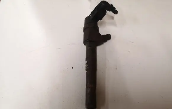 Opel Signum Fuel injector 0445110243