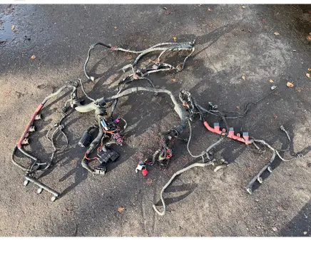 Engine installation wiring loom