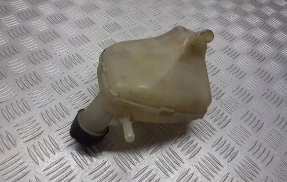 Renault Twingo II Coolant expansion tank/reservoir 8200369313