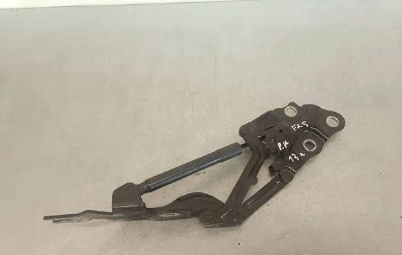 BMW X3 F25 Engine bonnet/hood hinges 7210729