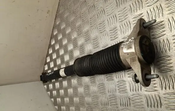Tesla Model Y Rear shock absorber/damper 118846300C