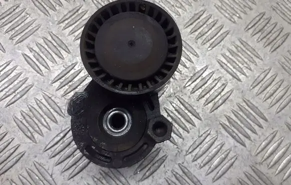 Renault Megane II Alternator belt tensioner pulley 