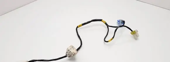 Nissan King Cab, Navara Other wiring loom 24016VJ500