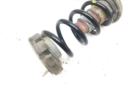 Rear coil spring