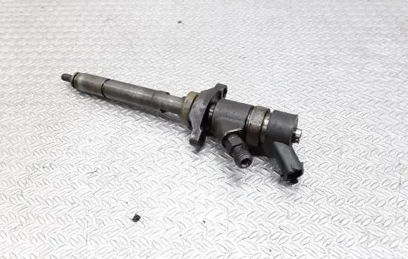 Citroen C5 Fuel injector 0445110188