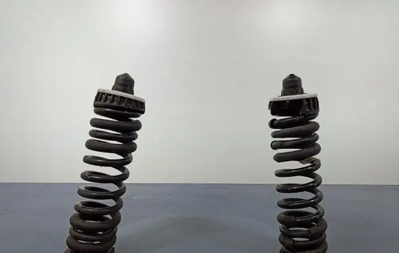 BMW M3 Rear coil spring