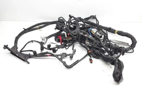 Engine installation wiring loom
