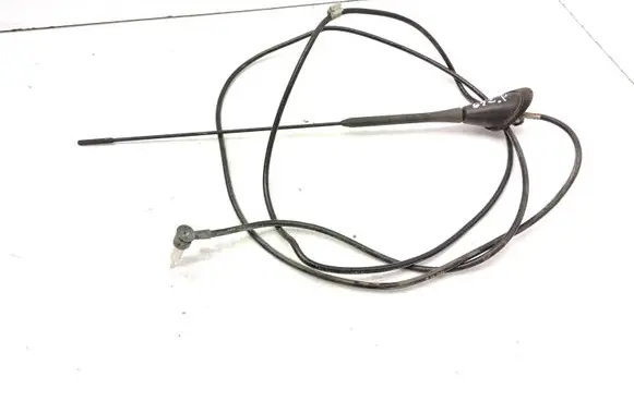 Citroen Berlingo Radio antenna 4199100156