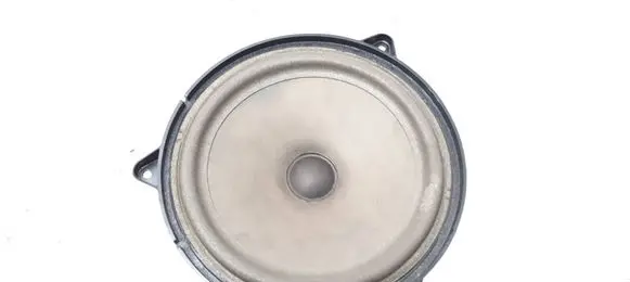 Front door speaker