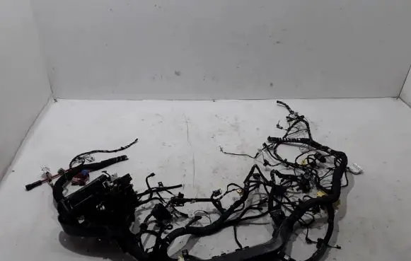 Volkswagen PASSAT B8 Panel wiring 3G1970005A