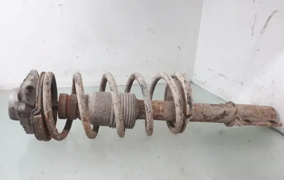 Fiat Ducato Front shock absorber with coil spring