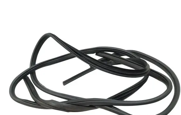 Ford Kuga II Rubber seal front door (on door)