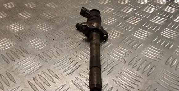 Peugeot Partner Fuel injector 0445110311