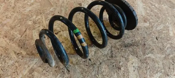 Rear coil spring