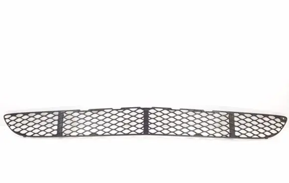 Mercedes-Benz CLS C219 Front bumper lower grill A2198850053