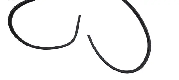 Dodge RAM Front door rubber seal