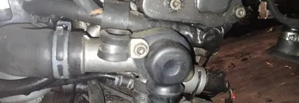 Volkswagen PASSAT B5.5 Engine coolant pipe/hose 