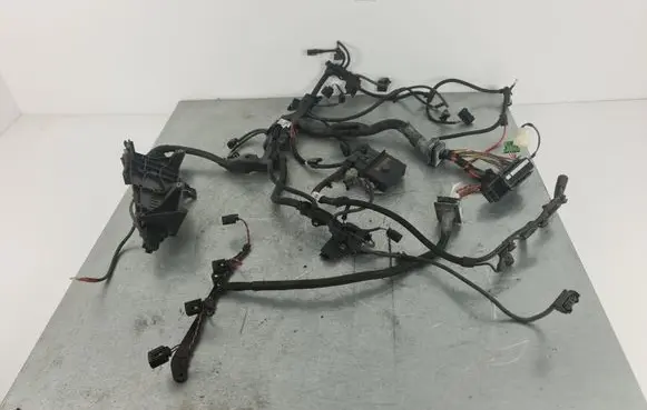 Engine installation wiring loom