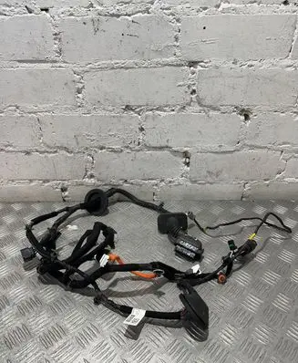 KIA Sorento Front door wiring loom 91600