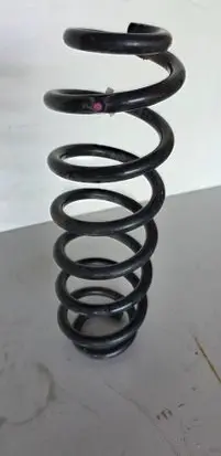 Rear coil spring