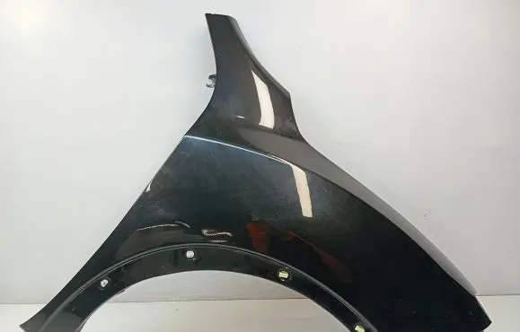 Nissan Juke I F15 Fender