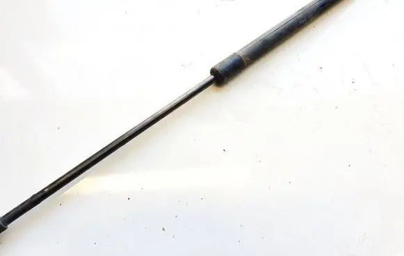 Tailgate/trunk strut/damper