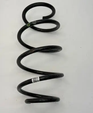 Rear coil spring