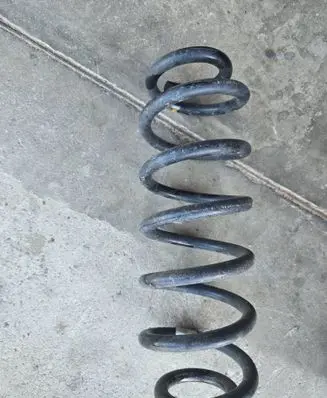 Rear coil spring