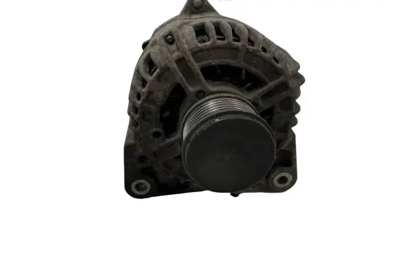 Renault Clio III Generator/alternator 8200660033A 0124425071