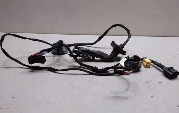 Front door wiring loom
