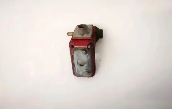 Peugeot 206 Rear door lower hinge