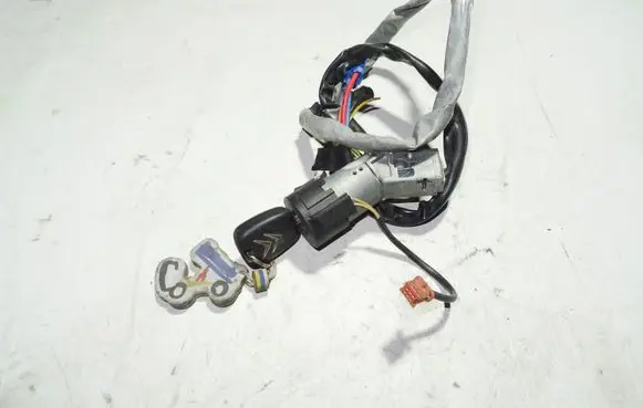 Citroen Berlingo Ignition lock 9663123280