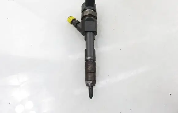 Suzuki Grand Vitara II Fuel injector 0445110230