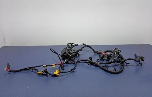 Other wiring loom