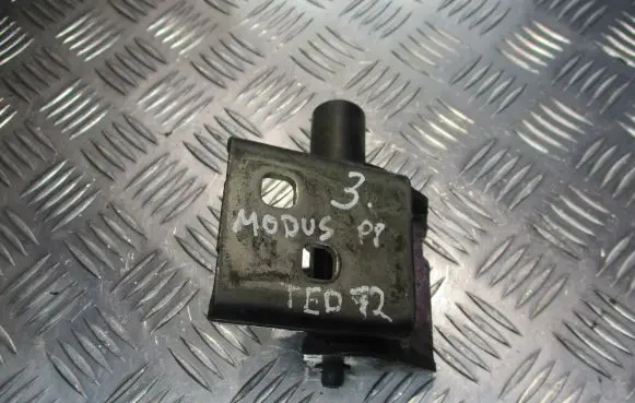 Renault Modus Front door hinges set 