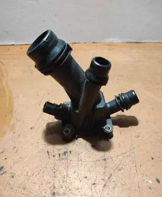 Thermostat/thermostat housing